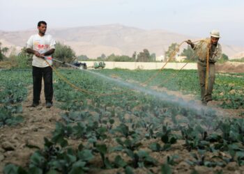 توقيع اتفاقيات مع البنك الدولي لدعم الزراعة في الأردن بـ 116 مليون دولار