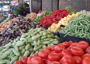 خريسات : 61% نسبة الاكتفاء الذاتي من المحاصيل الزراعية في المملكة