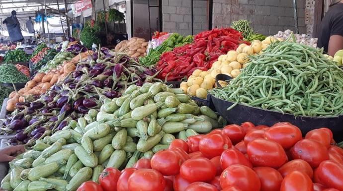 خريسات : 61% نسبة الاكتفاء الذاتي من المحاصيل الزراعية في المملكة