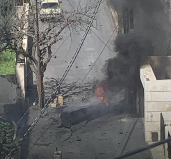 الأردن يعزز غاباته رغم محدودية الموارد بزراعة 3.6 مليون شجرة خلال 3 مواسم
