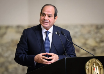 بعد رفع أسعار الوقود.. السيسي يخاطب المصريين بشأن الكهرباء