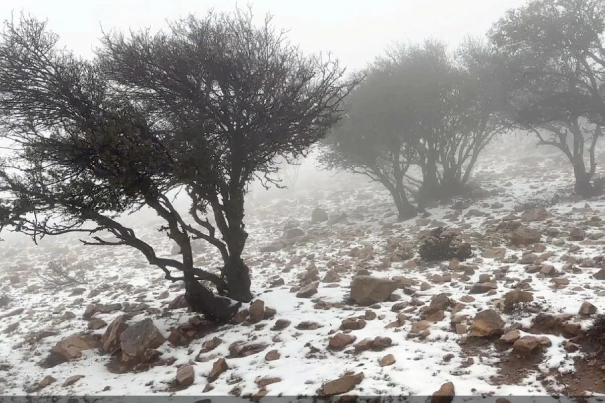 أمطار غزيرة وثلوج جنوباً.. وآمال بانتعاش الموسم الزراعي