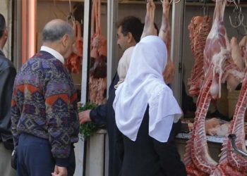 الزراعة : الأردن تعاقد مع سوريا لاستيراد 400 طن من اللحوم الحمراء