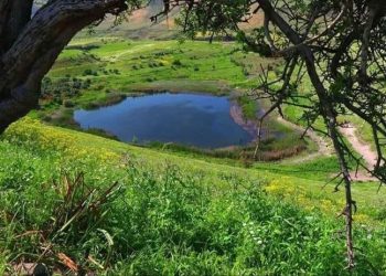 الجمعة … طقس بارد نسبياً في أغلب المناطق