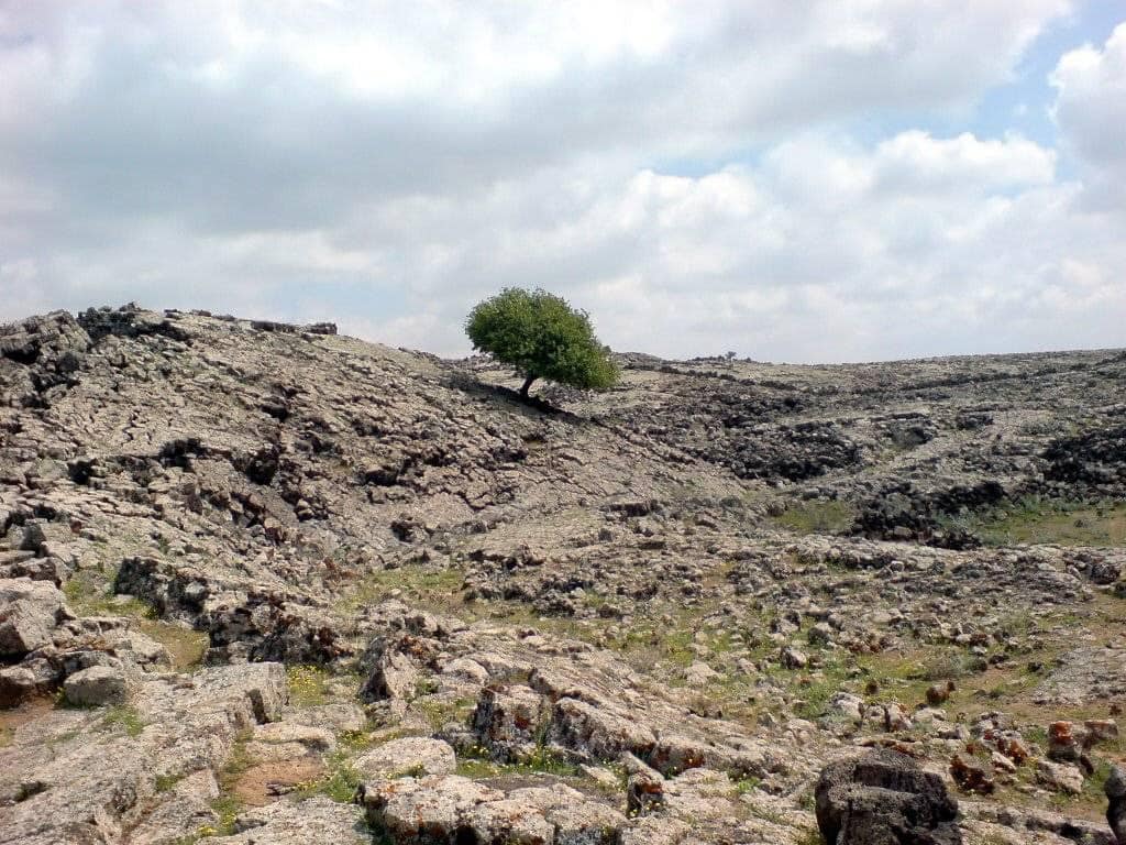 فرق الأمن تعثر على مفقود في الطفيلة منذ الثلاثاء