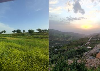 مرج زبيد وراجب …. بساط أخضر يعكس جمال عجلون
