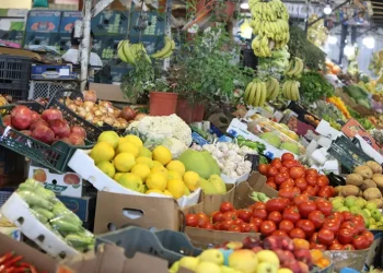 تراجع واضح بأسعار الخضار في السوق المركزي الأربعاء