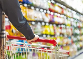 المومني: الحكومة تتخذ إجراءات لحماية القطاعات وتقليل آثار الأزمة على المواطنين