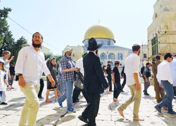 الأردن: اقتحامات الأقصى خرق فاضح للقانون الدولي واستفزاز مرفوض