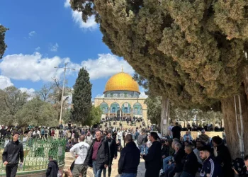 مشهد يُشبه العيد .. تفاعل واسع مع عودة صلاة الجمعة في المسجد الأقصى