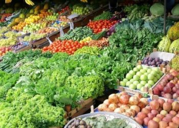 وزير الزراعة: التصدير لا يزال قائما برا عبر الدول المجاورة