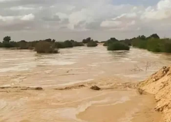 الإدارة المحلية تحذر من أمطار رعدية وغبار في المناطق الشرقية والجنوبية