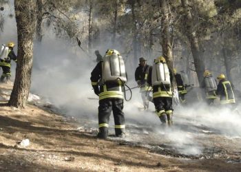 لمنع الحرائق وحماية الغابات .. إدارة الأزمات تطلق خطة الطوارئ وتدعو لرفع الجاهزية