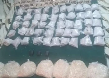 الجيش يُحبط 3 محاولات لتهريب كميات كبيرة من المواد المخدّرة