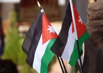 الأمن العام: بدء التحقيق مع سيدة أساءت ليوم العلم