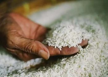 الحاج توفيق: لا توجد شركة تحتكر الرز في الاردن