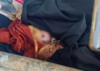 صدمة جديدة في الكرك.. رضيع بحاوية نفايات