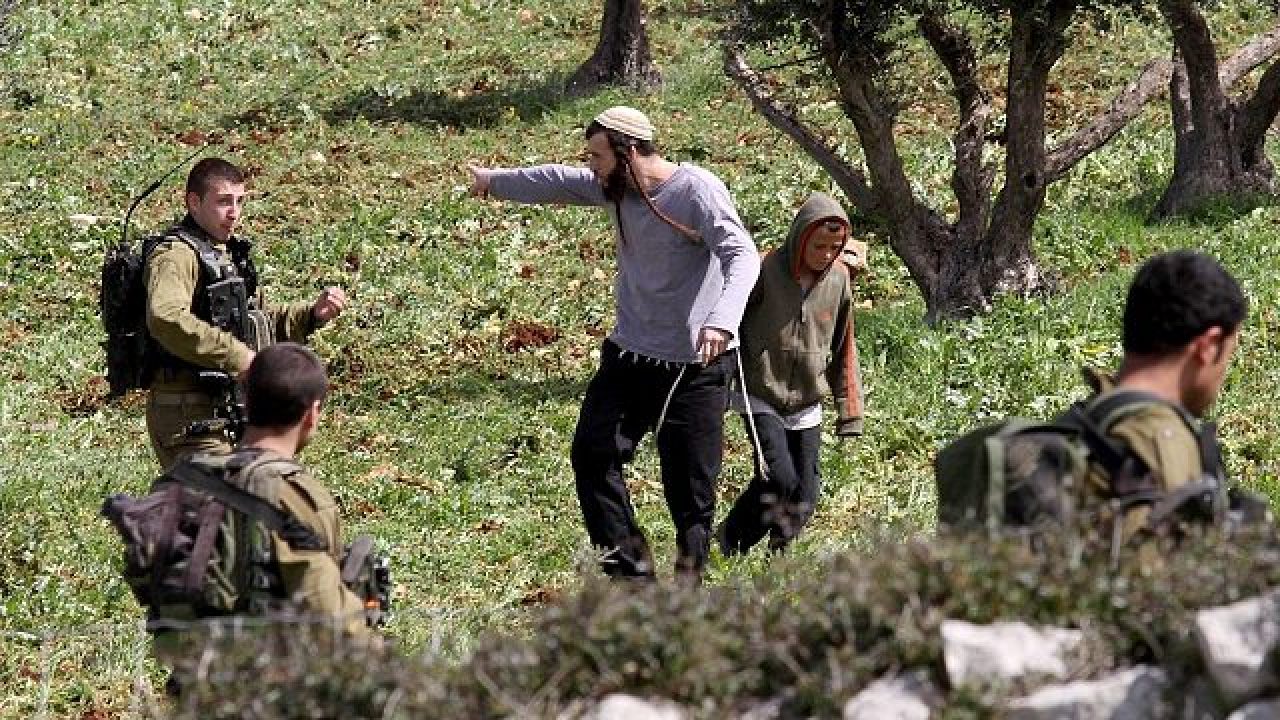 اعتداءات المستوطنين في الضفة تتصاعد.. تجريف وسرقة مواشي وحرق أشجار