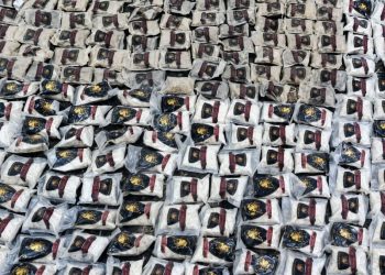 الجيش يحبط عملية تهريب مخدرات محملة بواسطة بالونات موجهة الكترونيا