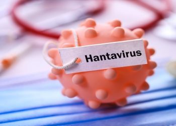 تسجيل أول إصابة مؤكدة بفيروس هانتا في فرنسا