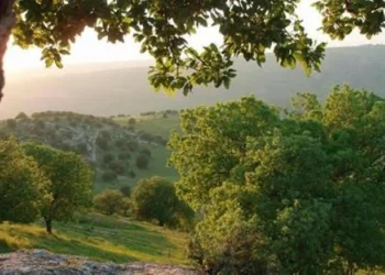 طقس معتدل اليوم .. وانخفاض تدريجي على الحرارة غداً