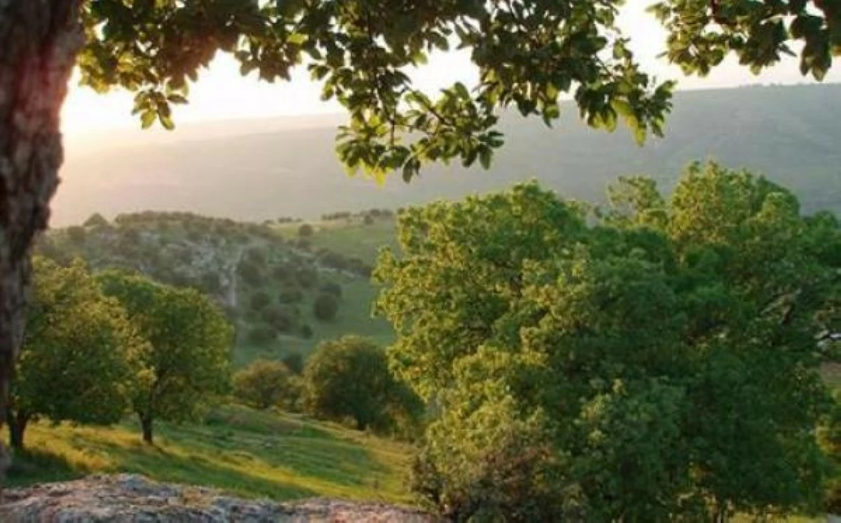 طقس معتدل اليوم .. وانخفاض تدريجي على الحرارة غداً