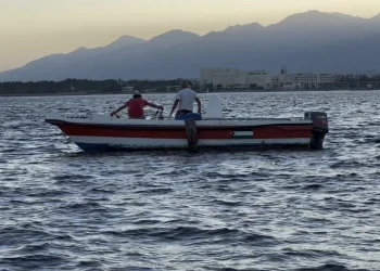 العقبة تحتفي بعودة الصيد البحري بعد توقف لمدة 4 أشهر