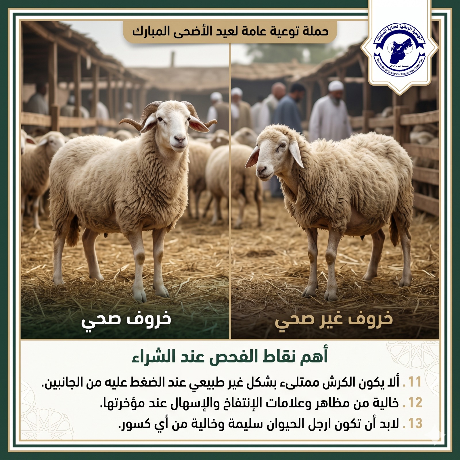 حماية المستهلك تقدم مجموعة من النصائح للراغبين في شراء الاضاحي