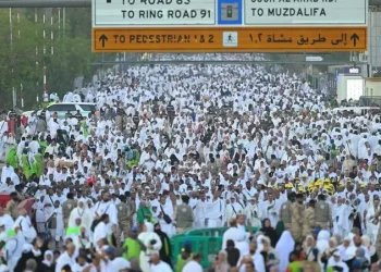 من الانطلاق حتى العودة.. الخلايلة يوضح بشأن ترتيبات الحج والأسعار للعام الحالي