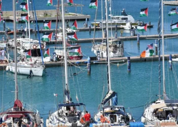 الأردن و9 دول يدينون الاعتداءات الإسرائيلية على أسطول الصمود العالمي