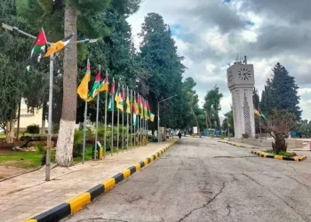التعليم العالي بالأرقام.. الجامعات الرسمية تستقطب 60% من الطلبة