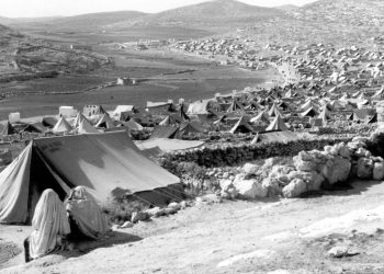 بمساعدة أردنية… الأونروا تنقل أرشيفا يوثق تاريخ اللجوء الفلسطيني من القدس وغزة إلى عمّان
