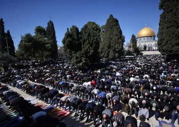 65 ألفا يؤدون صلاة الجمعة في المسجد الأقصى
