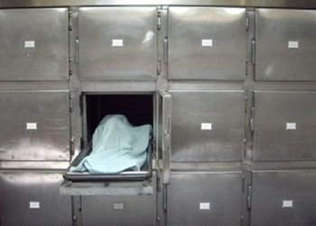 القبض على شخصين قتلا مواطنا ودفنا جثته شمالي العاصمة عمّان
