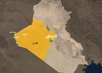 بسبب الحمى القلاعية.. جمارك طريبيل تعيد إرسالية عجول قادمة من الأردن