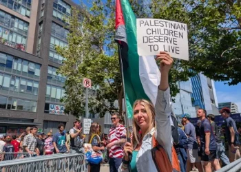 علم فلسطين أم علم إسرائيل.. استطلاع يوثق خيار جماهير المونديال
