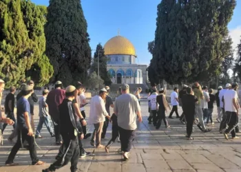 البرلمان العربي: الاحتلال يقود مشروعا لتصفية القضية الفلسطينية وجرّ المنطقة نحو التصعيد