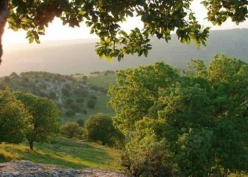أجواء صيفية معتدلة في أغلب المناطق حتى الاثنين