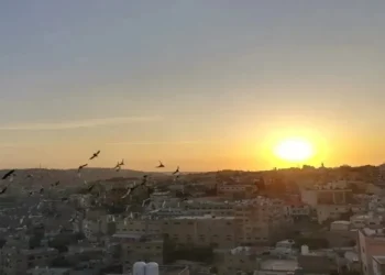 الأرصاد: ارتفاع طفيف على درجات الحرارة وأجواء حارة نسبيا في أغلب المناطق