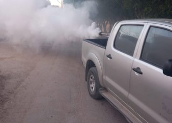 الشونة الشمالية: حظائر الأغنام بين السكان.. هل تكفي حملات الرش لمعالجة المشكلة؟