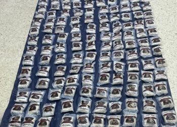 المنطقة العسكرية الشرقية تحبط محاولة تهريب مخدرات بواسطة بالونات