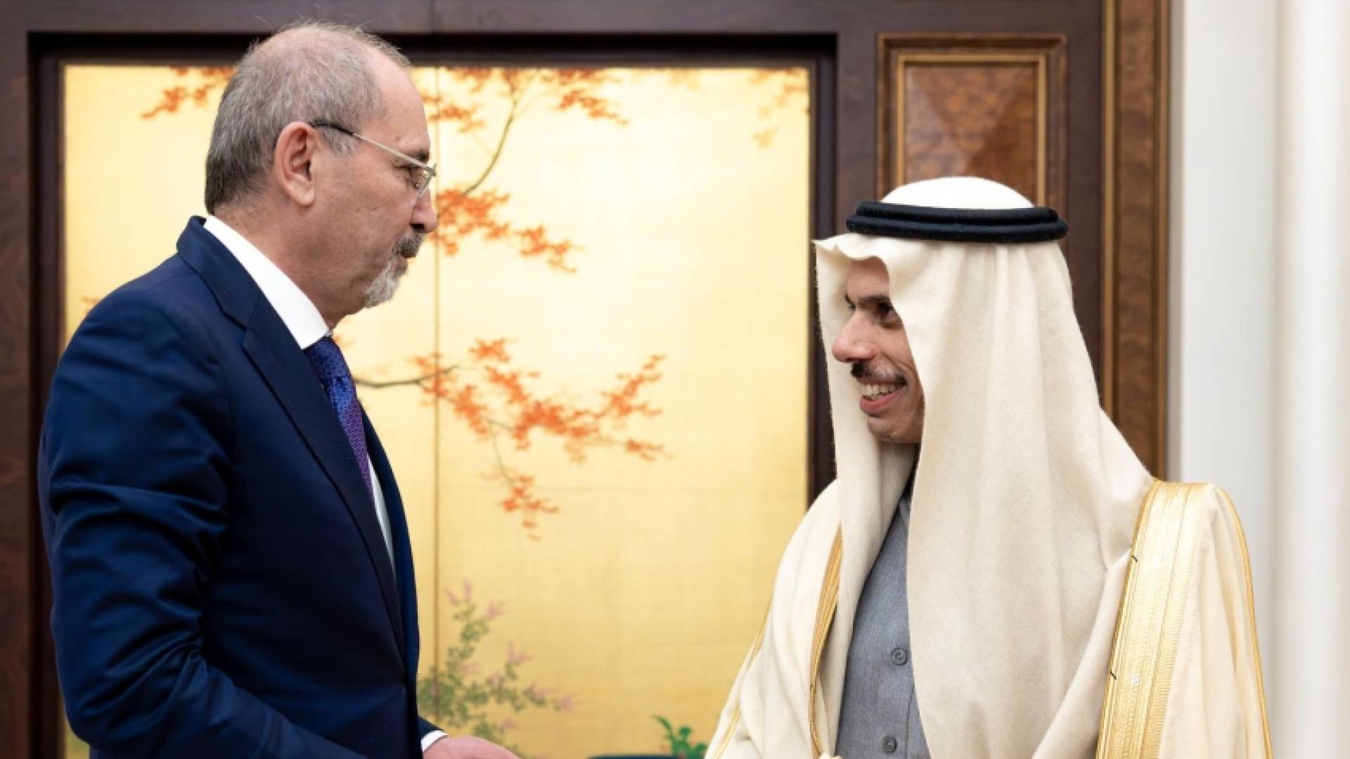 الصفدي يبحث مع نظيره السعودي تطورات الأوضاع في المنطقة