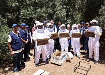 متطوعو إمكان الإسكان ينفذون مبادرات تنموية في عجلون