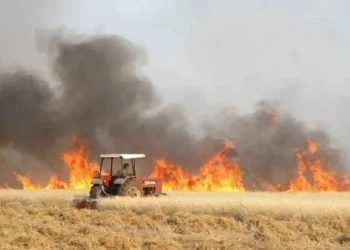 الزراعة النيابية تبحث ملف حرائق المحاصيل الزراعية وتأثيرها على المخزون الاستراتيجي