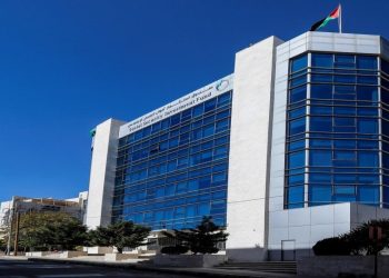 ارتفاع موجودات صندوق استثمار أموال الضمان إلى 19.7 مليار دينار
