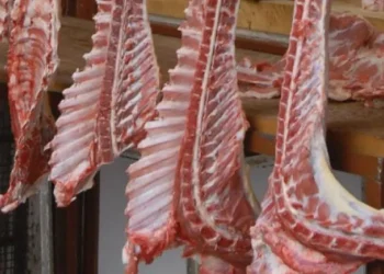 الزراعة: ارتفاع أسعار اللحوم عالمي.. ورومانيا خارج قائمة الاستيراد