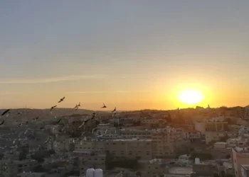 الأرصاد الجوية: موجة الحر تستمر حتى الأربعاء المقبل وذروتها السبت