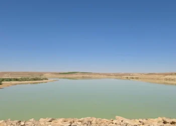سلطة وادي الأردن تنفذ أعمال حماية وتأهيل لسد الوحيدي في معان