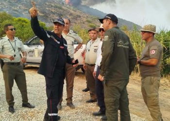 من لوحة طبيعية إلى رماد.. حريق يلتهم غابة بنزرت بتونس