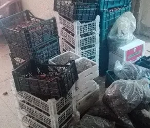 الزرقاء: ضبط مواد غذائية غير صالحة للاستهلاك وإتلافها